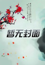 精灵之黑红训练家